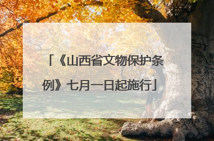 《山西省文物保护条例》七月一日起施行