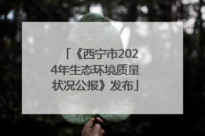 《西宁市2024年生态环境质量状况公报》发布