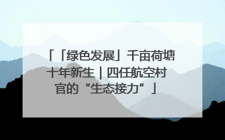 「绿色发展」千亩荷塘 十年新生｜四任航空村官的“生态接力”