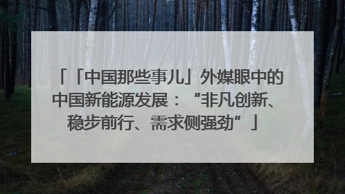 「中国那些事儿」外媒眼中的中国新能源发展：“非凡创新、稳步前行、需求侧强劲”