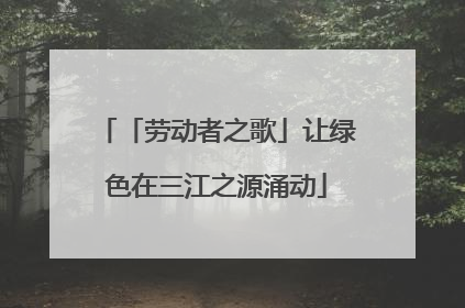 「劳动者之歌」让绿色在三江之源涌动
