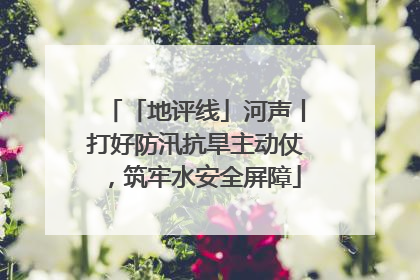 「地评线」河声丨打好防汛抗旱主动仗，筑牢水安全屏障