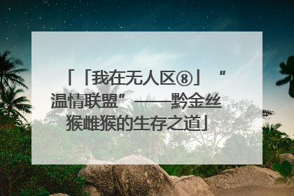 「我在无人区⑧」“温情联盟”——黔金丝猴雌猴的生存之道