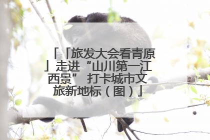「旅发大会看青原」走进“山川第一江西景” 打卡城市文旅新地标（图）
