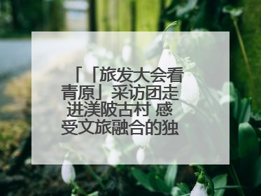「旅发大会看青原」采访团走进渼陂古村 感受文旅融合的独特魅力（图）