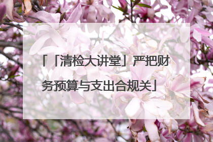 「清检大讲堂」严把财务预算与支出合规关