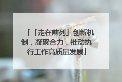「走在前列」创新机制，凝聚合力，推动执行工作高质量发展