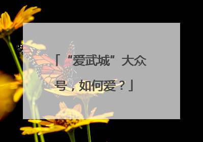“爱武城”大众号，如何爱？