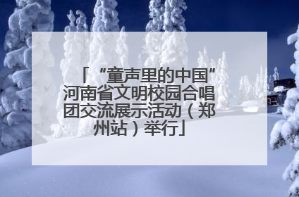 “童声里的中国”河南省文明校园合唱团交流展示活动（郑州站）举行