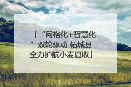 “网格化+智慧化”双轮驱动 柘城县全力护航小麦夏收