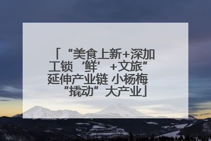 “美食上新+深加工锁‘鲜’+文旅”延伸产业链 小杨梅“撬动”大产业