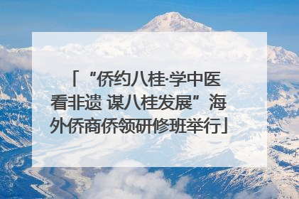 “侨约八桂·学中医 看非遗 谋八桂发展”海外侨商侨领研修班举行