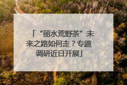 “丽水荒野茶”未来之路如何走？专题调研近日开展