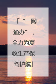 “一网通办”，全力为夏收生产保驾护航