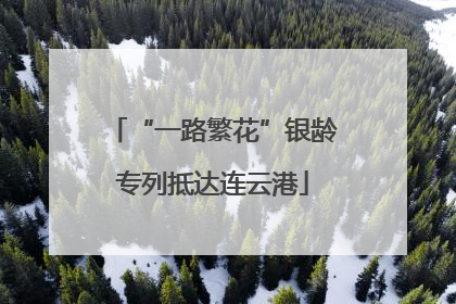 “一路繁花”银龄专列抵达连云港