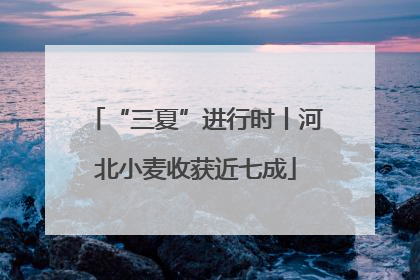 “三夏”进行时丨河北小麦收获近七成