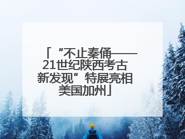 “不止秦俑——21世纪陕西考古新发现”特展亮相美国加州