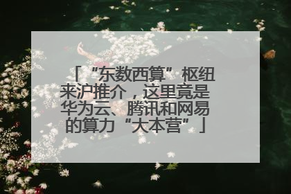 “东数西算”枢纽来沪推介，这里竟是华为云、腾讯和网易的算力“大本营”