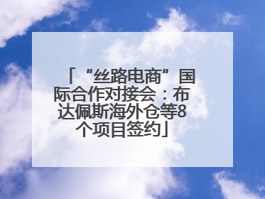 “丝路电商”国际合作对接会：布达佩斯海外仓等8个项目签约