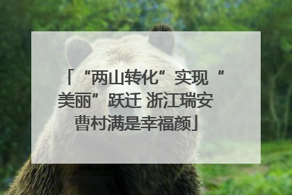 “两山转化”实现“美丽”跃迁 浙江瑞安曹村满是幸福颜
