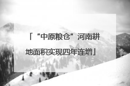 “中原粮仓”河南耕地面积实现四年连增