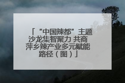 “中国辣都”主题沙龙集智聚力 共商萍乡辣产业多元赋能路径（图）