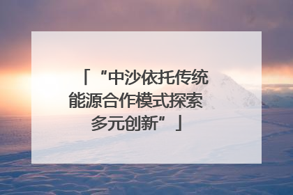“中沙依托传统能源合作模式探索多元创新”