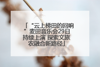 “云上梯田的回响”麦田音乐会29日持续上演 探索文旅农融合新路径