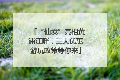 “仙境”亮相黄浦江畔，三大优惠游玩政策等你来