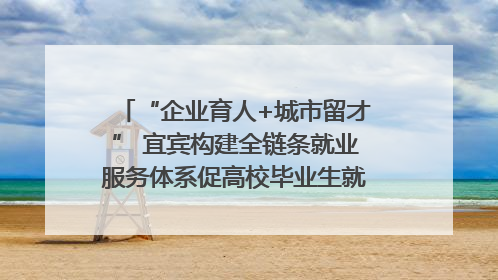 “企业育人+城市留才” 宜宾构建全链条就业服务体系促高校毕业生就业｜您牵挂的四川
