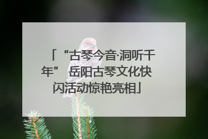 “古琴今音·洞听千年” 岳阳古琴文化快闪活动惊艳亮相