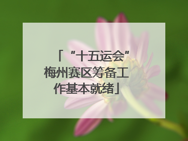 “十五运会”梅州赛区筹备工作基本就绪