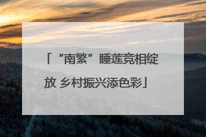 “南繁”睡莲竞相绽放 乡村振兴添色彩