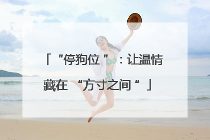 “停狗位 ”：让温情藏在 “方寸之间 ”