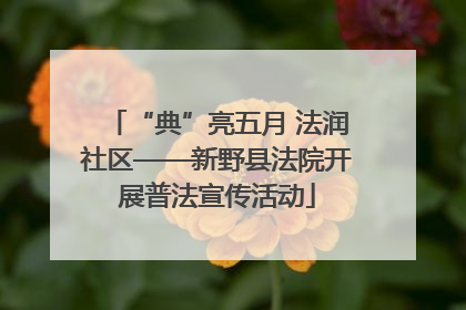 “典”亮五月 法润社区——新野县法院开展普法宣传活动