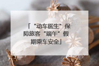 “动车医生”保障旅客“端午”假期乘车安全