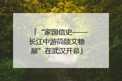 “家国信史——长江中游简牍文物展”在武汉开幕