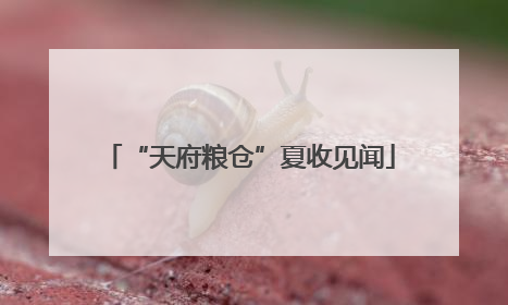 “天府粮仓”夏收见闻