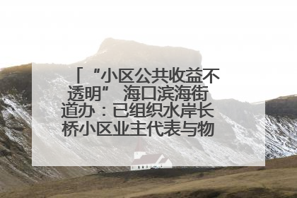“小区公共收益不透明” 海口滨海街道办：已组织水岸长桥小区业主代表与物业进行座谈