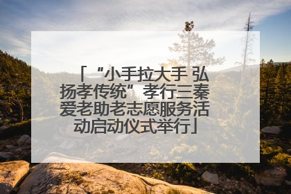 “小手拉大手 弘扬孝传统”孝行三秦爱老助老志愿服务活动启动仪式举行