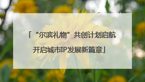 “尔滨礼物”共创计划启航 开启城市IP发展新篇章