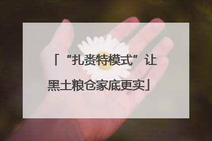 “扎赉特模式”让黑土粮仓家底更实