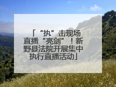 “执”击现场 直播“亮剑”！新野县法院开展集中执行直播活动