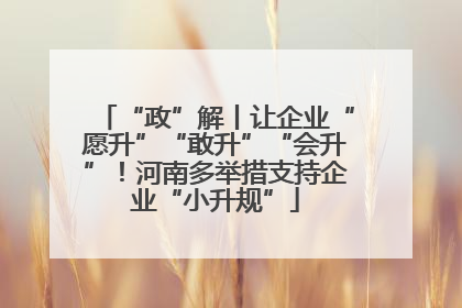 “政”解丨让企业“愿升”“敢升”“会升”！河南多举措支持企业“小升规”