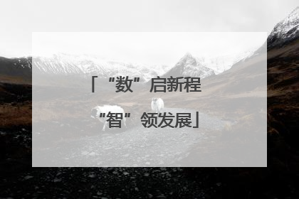 “数”启新程 “智”领发展