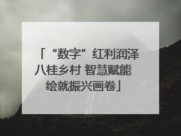 “数字”红利润泽八桂乡村 智慧赋能绘就振兴画卷
