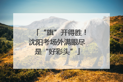 “旗”开得胜！沈阳考场外满眼尽是“好彩头”