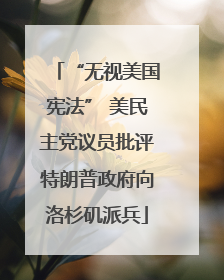 “无视美国宪法” 美民主党议员批评特朗普政府向洛杉矶派兵