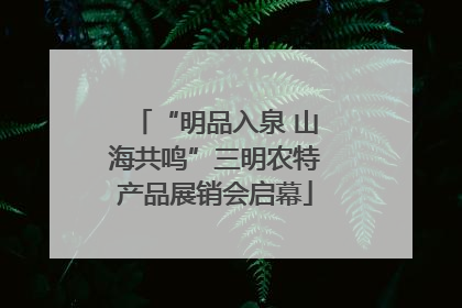 “明品入泉 山海共鸣”三明农特产品展销会启幕