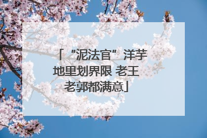 “泥法官”洋芋地里划界限 老王老郭都满意